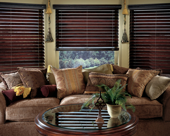 SILHOUETTE HUNTER DOUGLAS-  FREE Estimates & FREE In-Home Consulation - Blinds, Shutters, Window Blinds, Plantation Shutters, Vertical Blinds, Mini Blinds, Wood Shutters, Venetian Blinds, Shades, Vinyl Blinds, Plantation Shutters, Window Shutters, Faux wood Blinds, Vertical Blinds, Wood Blinds, Roman Shades, Drapery, Draperies